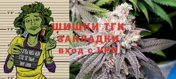 spice Богородск
