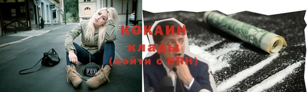 spice Богородск