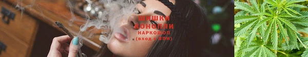 скорость Бородино