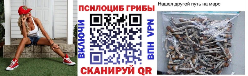 кракен зеркало Верхний Тагил Псилоцибиновые грибы мицелий магазин